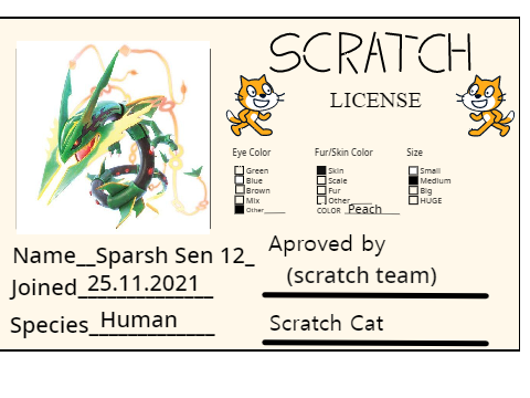 My Scratch Lisense ! 
