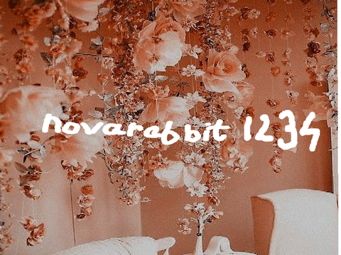 b a n n e r c o n t e s t e n t r y f o r novarabbit1234