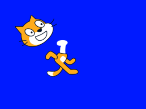 骨が出てきたしまったスクラッチキャットBB