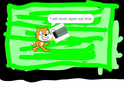 scratch cat tries a lime