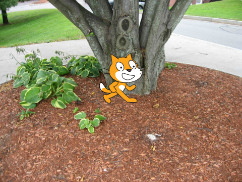 Draw with Bob the cat