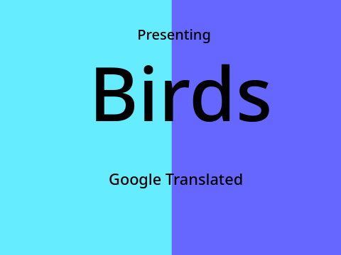 Birds Google Translated