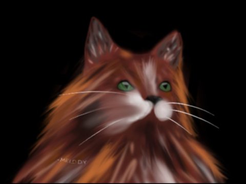 Cat - Art