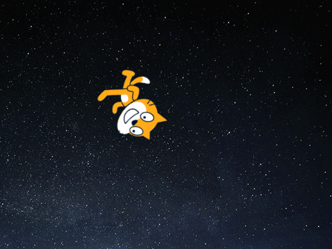 Random cats floating in space