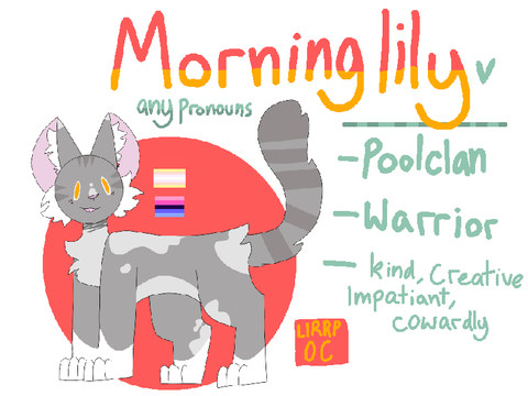 LIRRP - Morninglily - Poolclan
