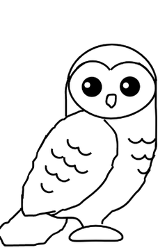 How to draw an owl (tutorial)