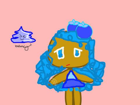 blueberry cookie