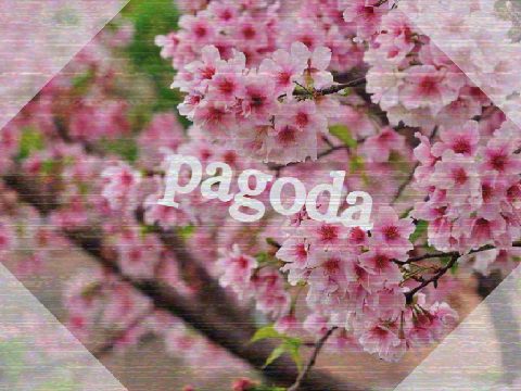 ♡ Pagoda Meme ♡
