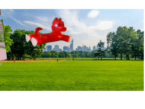 FLY puppy FLY