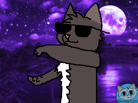 Gimme Gimme Gimme Cats