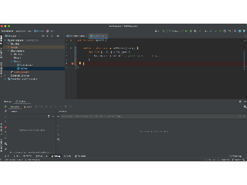 My IDE Console you guys B)