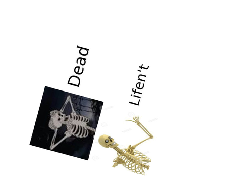 lifen't