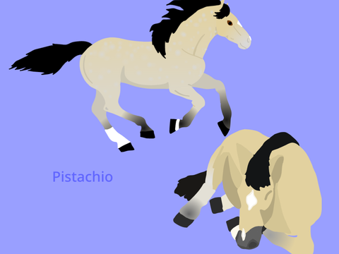 Peanut and Merlin's foals