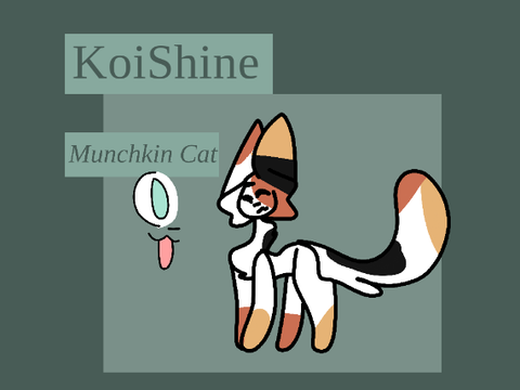 KoiShine Ref ( outdated )