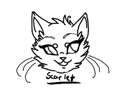 Raffle entry
