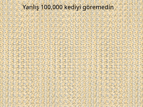 Burada kaç kedi var?
