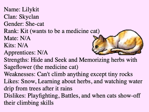 Warriors Adoption; Lilykit