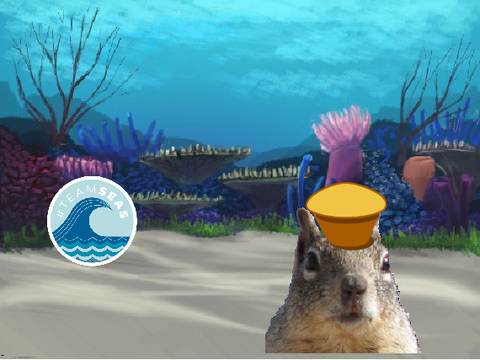Teamseas!