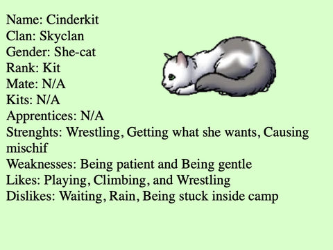 Warrior Adoption; Cinderkit