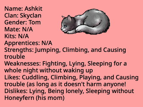 Warrior Adoption; Ashkit