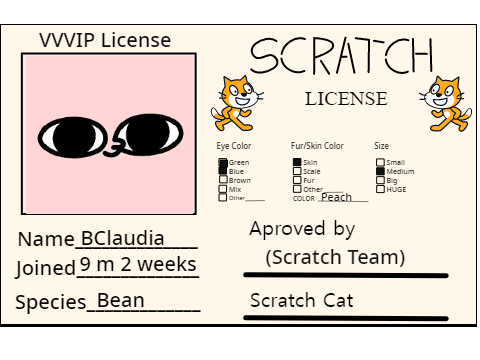 My Scratch ID Card Creation!