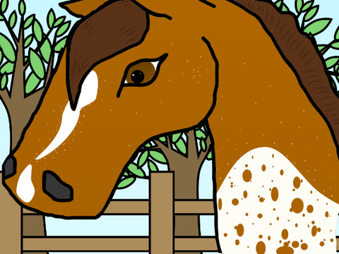 Horse cc - my entry