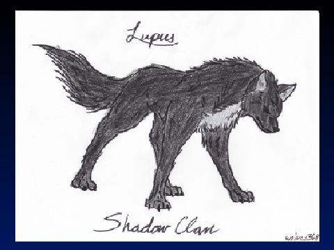 My Wolf