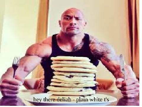  hey there deliah -plain white t's 