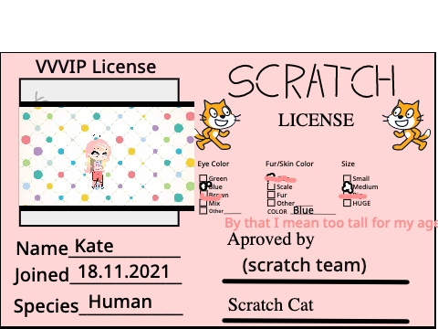 My scratch ID card ! remix
