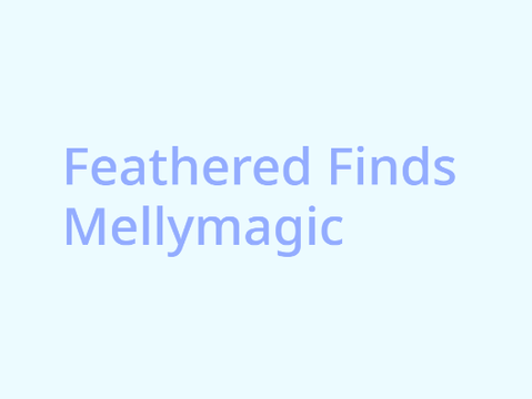 Sunny-Bunny29 Feathered Finds order