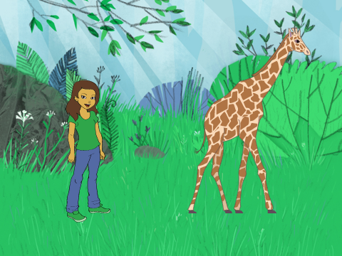 Welcome to the chasim zoo!