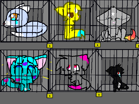 Add Yourself in the ASPCA