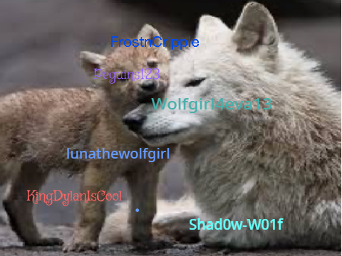 Sign if you love wolves. Remix! remix remix remix