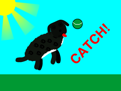 Catch!