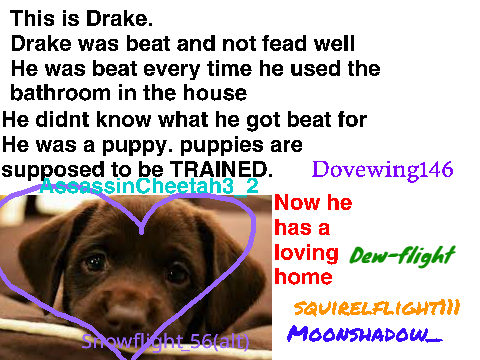Sign if you hate animal abuse remix remix remix remix remix