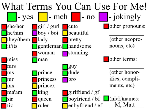 My Terms