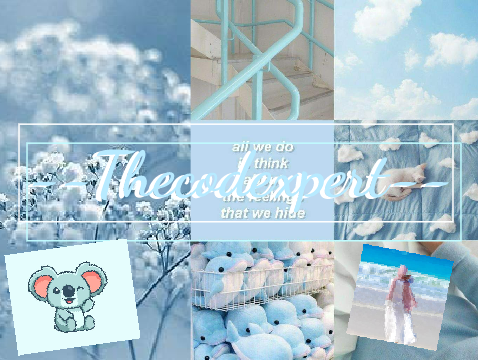 --Thecodexpert-- banner entry!