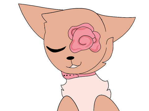 Peachy Petals - Dtae