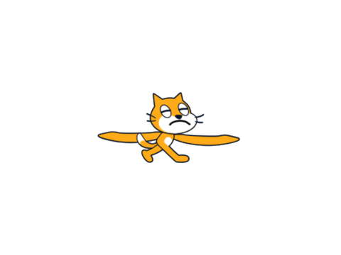 Helicopter