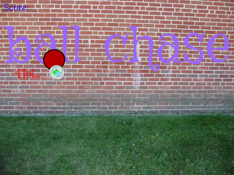 ball chase