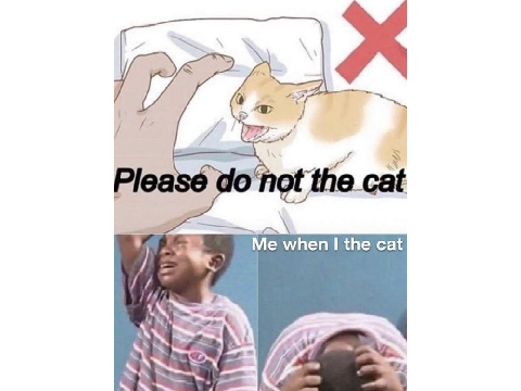 This meme tho.