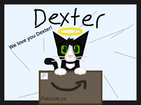 Dexter has and deserves lots of love!