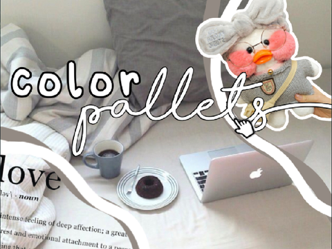 ⌦ ꒱ color pallettes