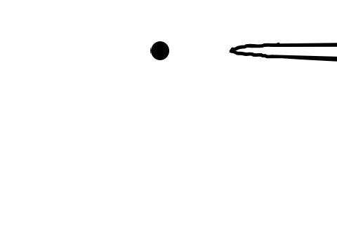 Circles {test animation}