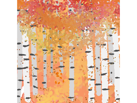 Silver birch tree scene