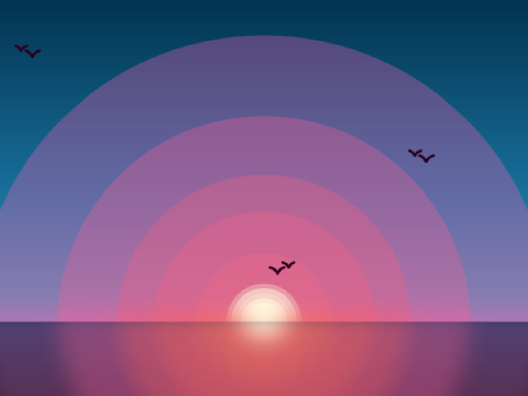 sunset