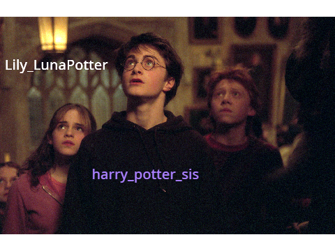 Sigh if you love Harry Potter!! remix