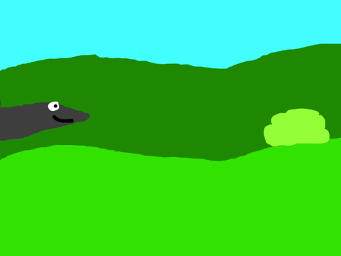 bush