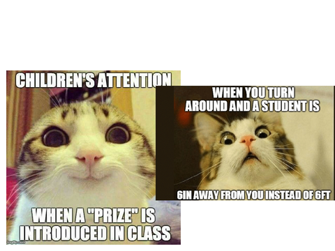 Cat memes
