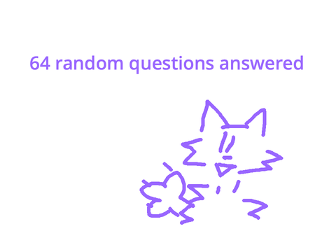 64 random questions answered